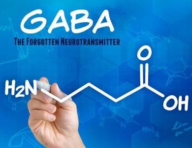 GABA gamma aminobutyric acid food grade/feed grade